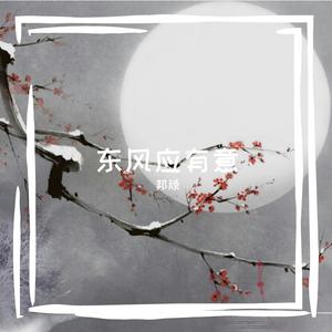 天若有情（《锦绣未央》电视剧主题曲）