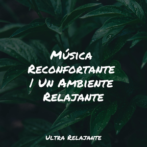Rocío Ámbar Matutino