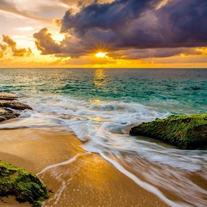 谁能理解我内心的痛楚