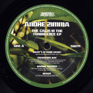 Hope Is On the Way (feat. Terry Lovique) (Sygaire Remix)