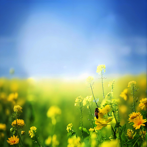 夜晚山洞中的水滴声和虫鸣