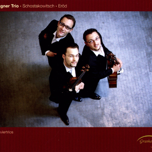 Piano Trio No. 1, Op. 67: I. Lento - Allegro Vivace