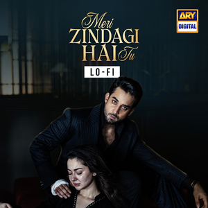 Meri Zindagi Hai Tu (Lo-Fi)