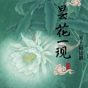 昙花一现