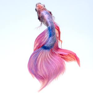 【FREE】L.O.V.E | HAPPY TYPE BEAT