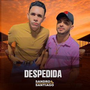 Despedida