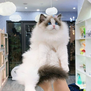 It's Just Our Story (slowed)