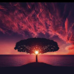 Absolute. (Radio Edit)