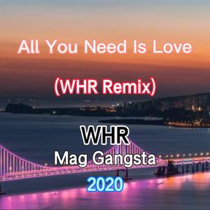 All You Need Is Love(WHR Remix)