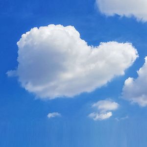 一直在等（Cover 本兮）