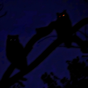 Cineman (Versión instrumental)