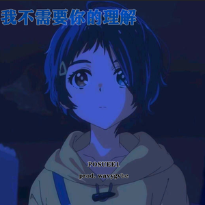 我不需要你的理解！