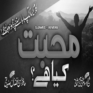 Muhabbat Kia Hai (Lofi-Mix)