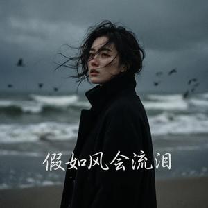 假如风会流泪
