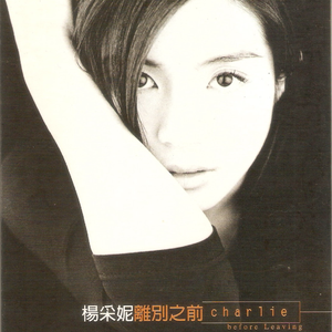 不会哭于你面前