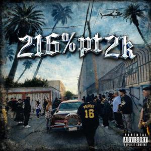 216% Pt 2k