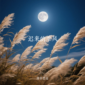 迟来的季风
