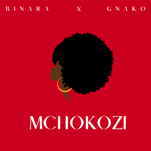 Mchokozi