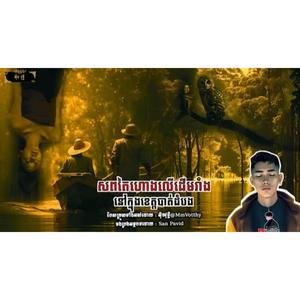 សពតៃហោងលើដើមរាំងនៅក្នុងខេត្តបាត់ដំបង