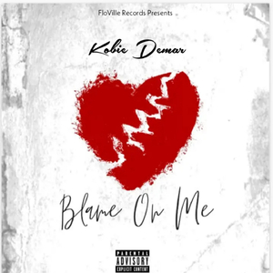 Blame On Me
