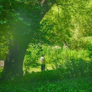 Reappear (feat. FishFlu)