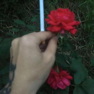 O sa ma casatoresc cu o prostituata