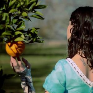 Domesticador de almas