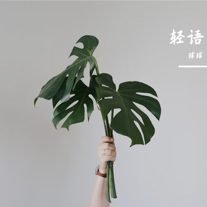 第二回