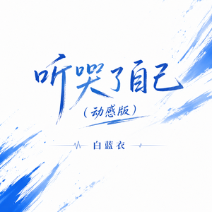 听哭了自己(动感版)