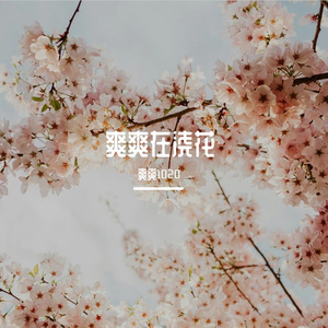 岁岁（Cover 任素汐）