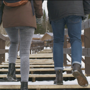 少数正解 (IA ver.)