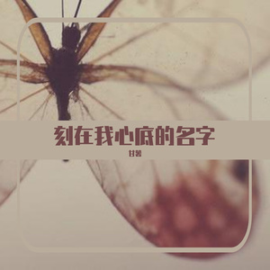 刻在我心底的名字