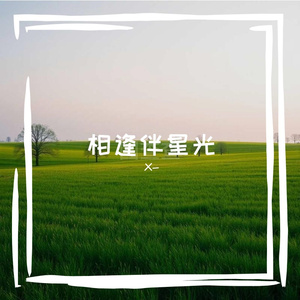 相逢伴星光