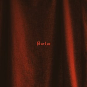 Bota
