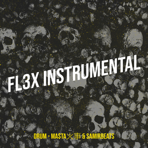Fl3x