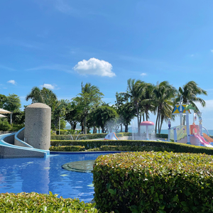 过好每一天（Enjoy every day）