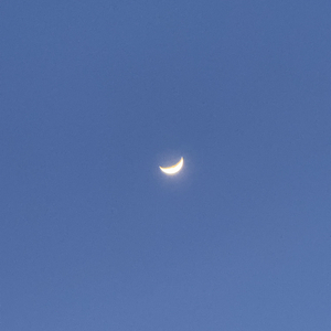 张爱玲是骗人的