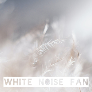 Fan Noise Baby Dreams