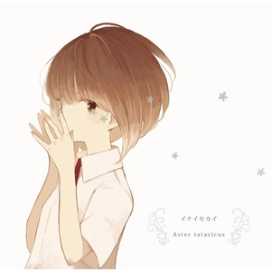 Aster tataricus