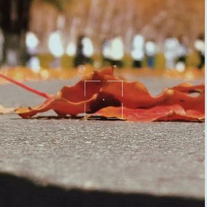 落叶知秋（Prod.by Lisure)