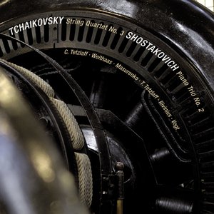 String Quartet No. 3 in E-Flat Minor, Op. 30, TH 113: II. Allegretto vivo e scherzando (Live)