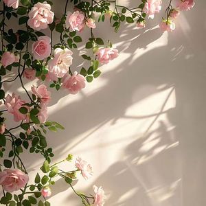 开开心心每一天