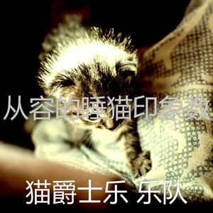 温和猫梦想