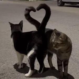 LUV YOU! (sped up)