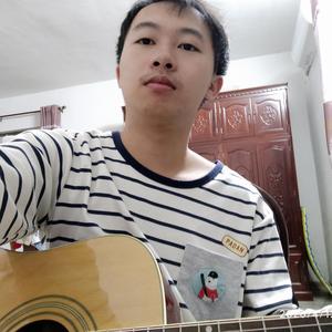 红花盛开的季节