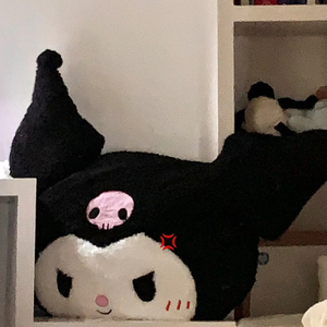上岸////