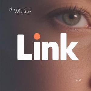 Lnk