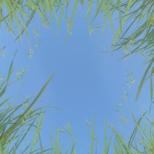 EVERYTHING EVERYWHERE ALL AT ONCE