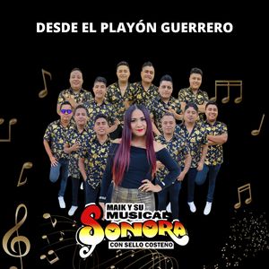 Son del Torito / El Tecolotito / La Malagueña Curreña / Feria Chilpancingueña