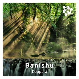 Koppara